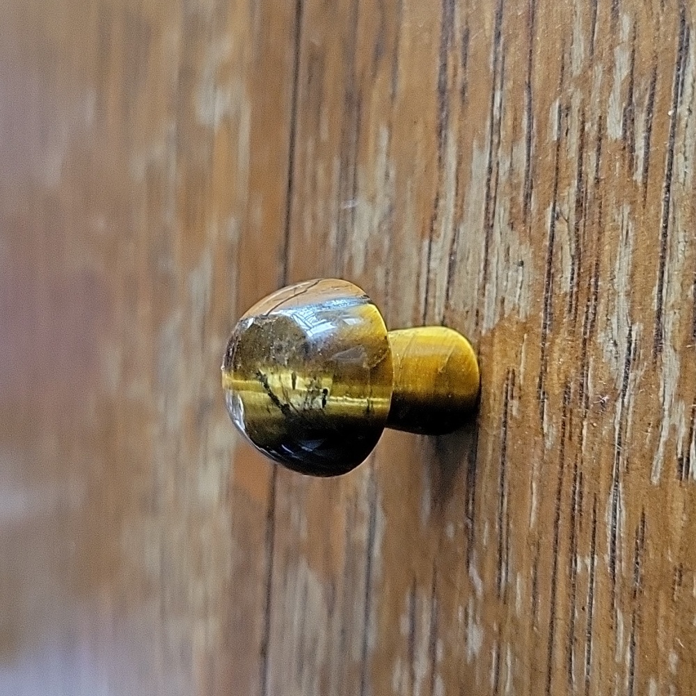 Tigers eye mushroom